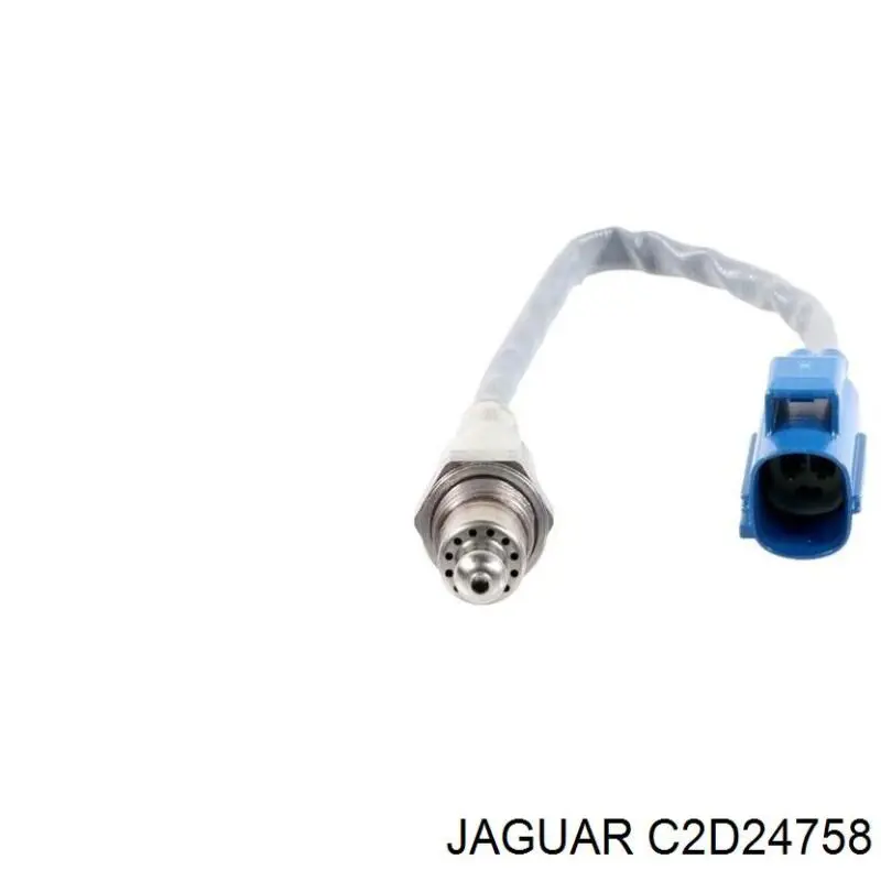 C2D55089 Jaguar