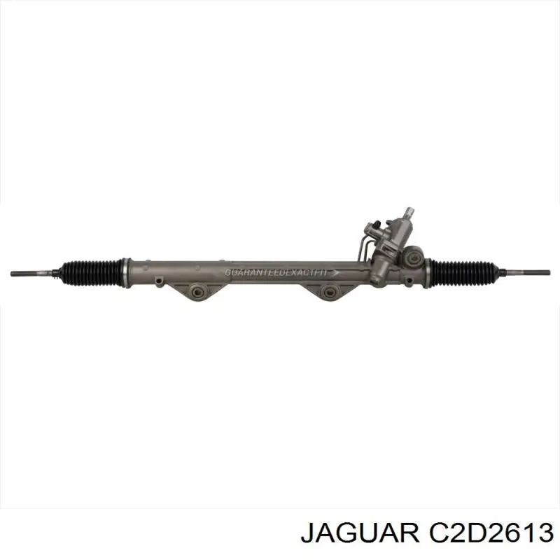  C2D2613 Jaguar