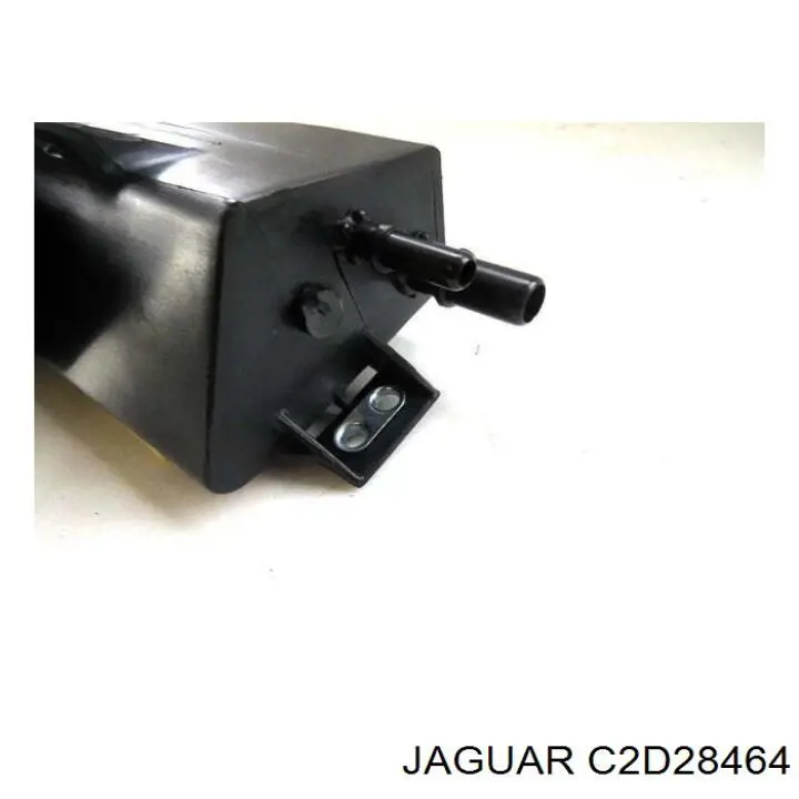  C2D28464 Jaguar
