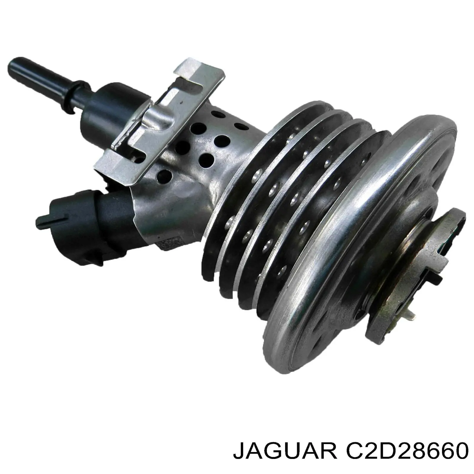 C2D28660 Jaguar
