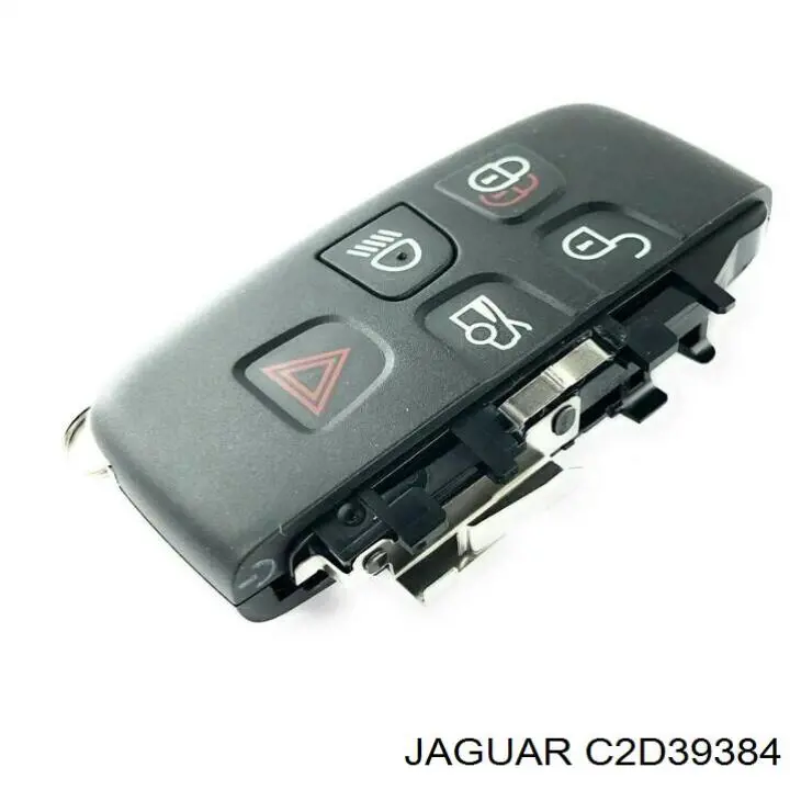  C2D49498 Jaguar