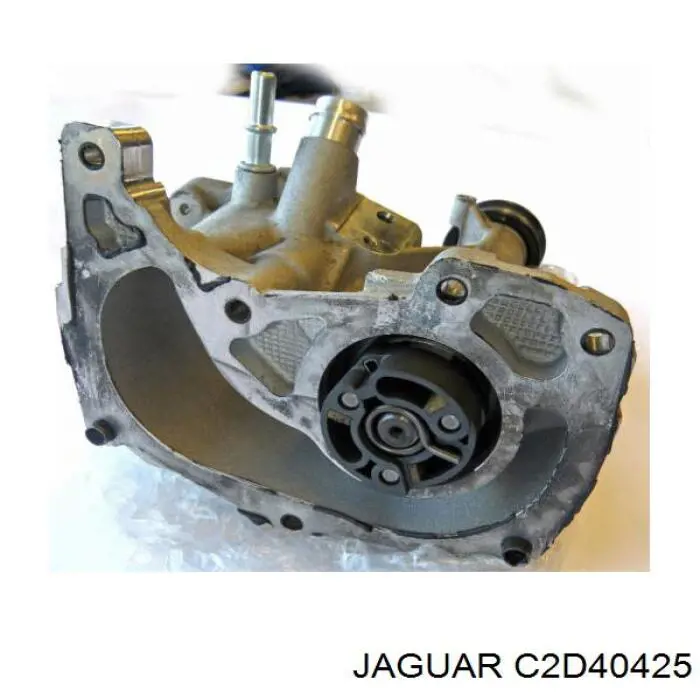  C2D53104 Jaguar