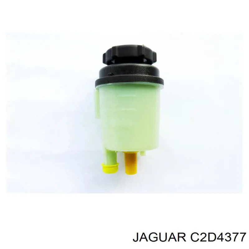  C2D4377 Jaguar