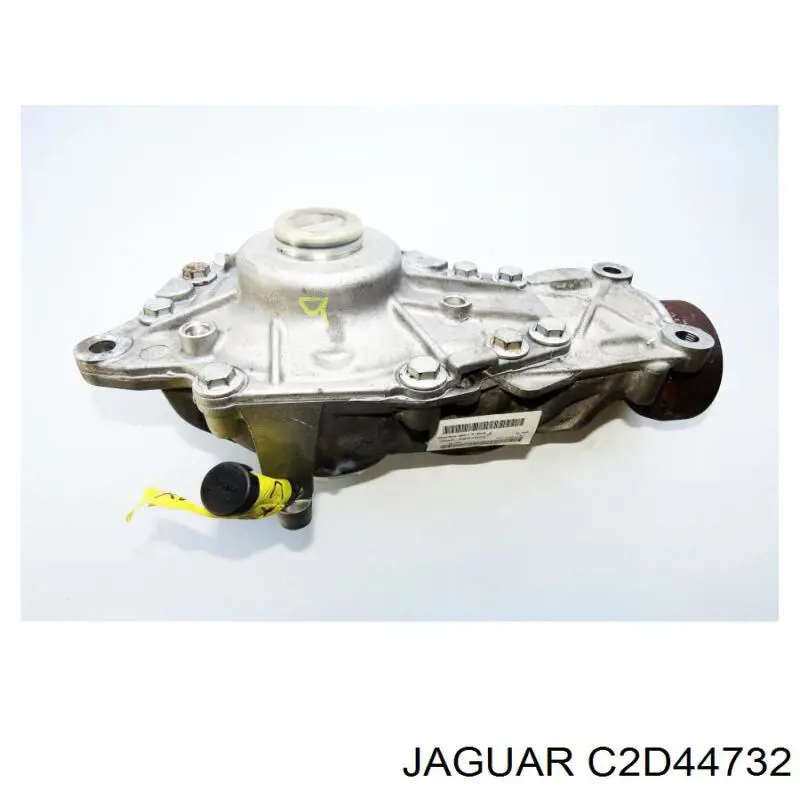  T2R81330 Jaguar