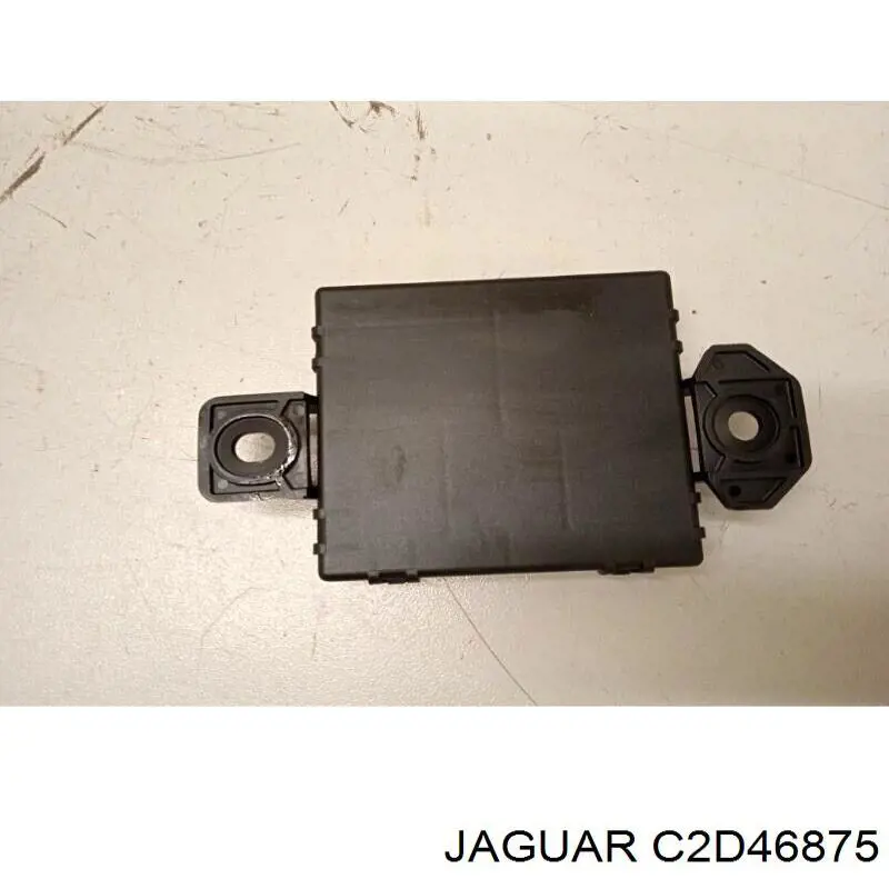  C2D46875 Jaguar