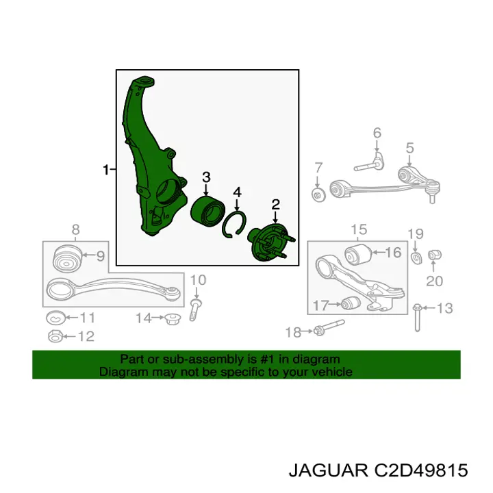  C2D58911 Jaguar