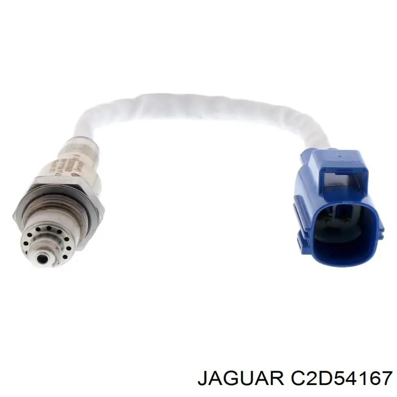 C2D54167 Jaguar 