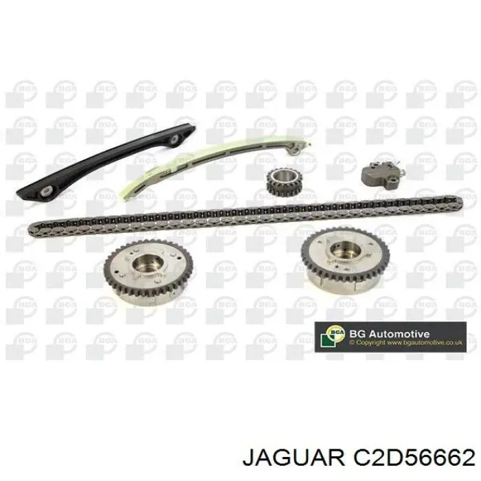 AJ813111 Jaguar 