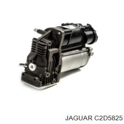  C2D26813 Jaguar