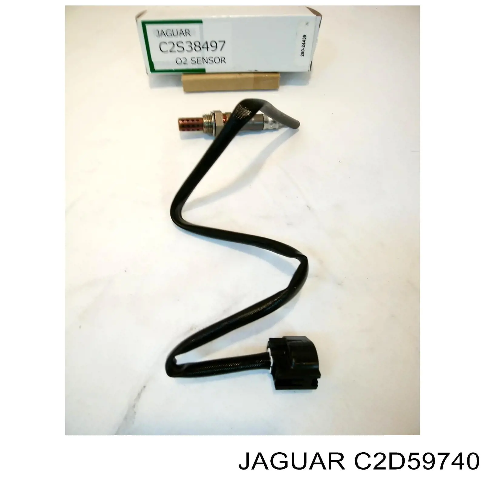 Купить C2D35424 Jaguar 