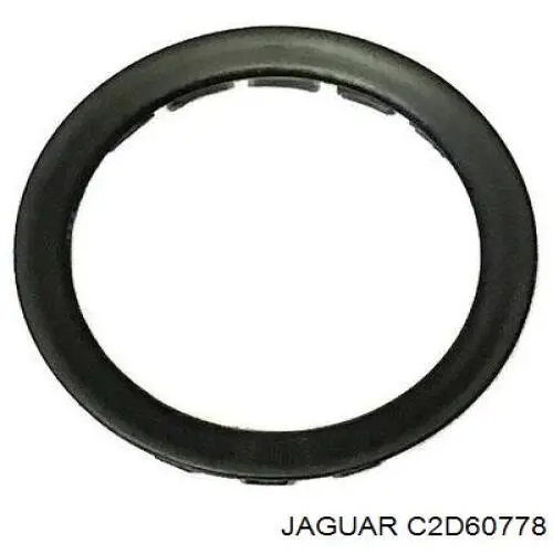 C2D54161 Jaguar 