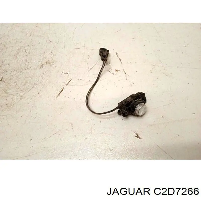  C2D47251 Jaguar