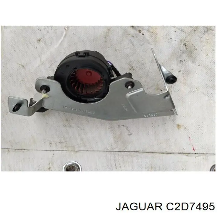 C2D7495 Jaguar