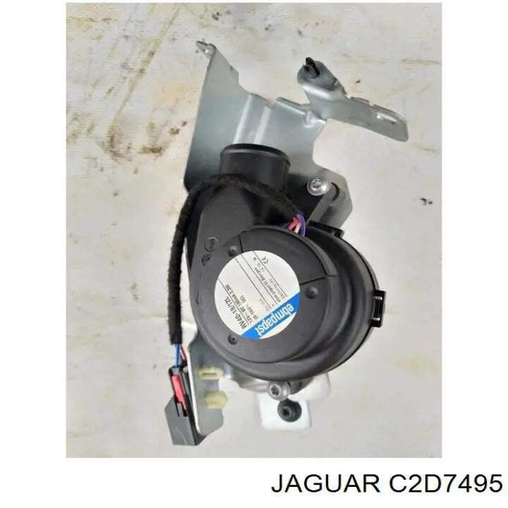 C2D7495 Jaguar 