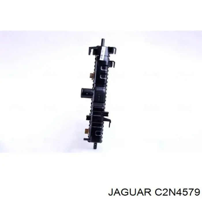  C2N4579 Jaguar