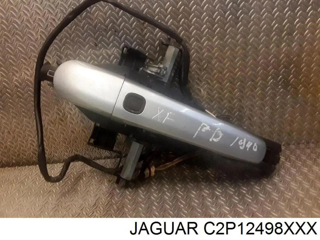  C2P12498XXX Jaguar