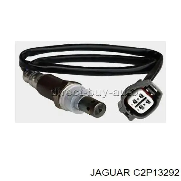  C2D47174 Jaguar