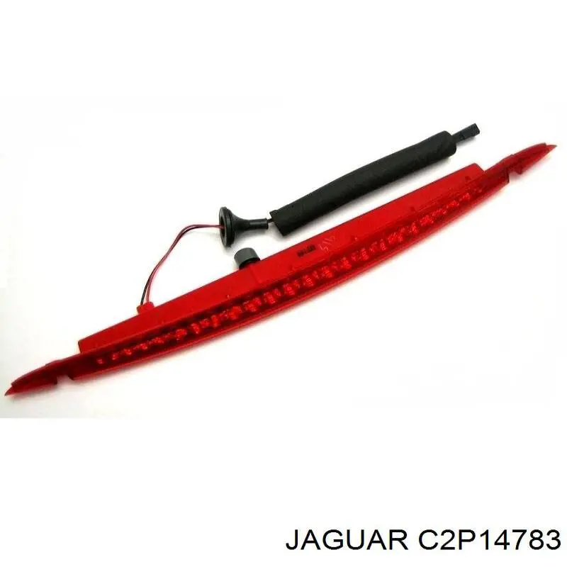 C2P14783 Jaguar