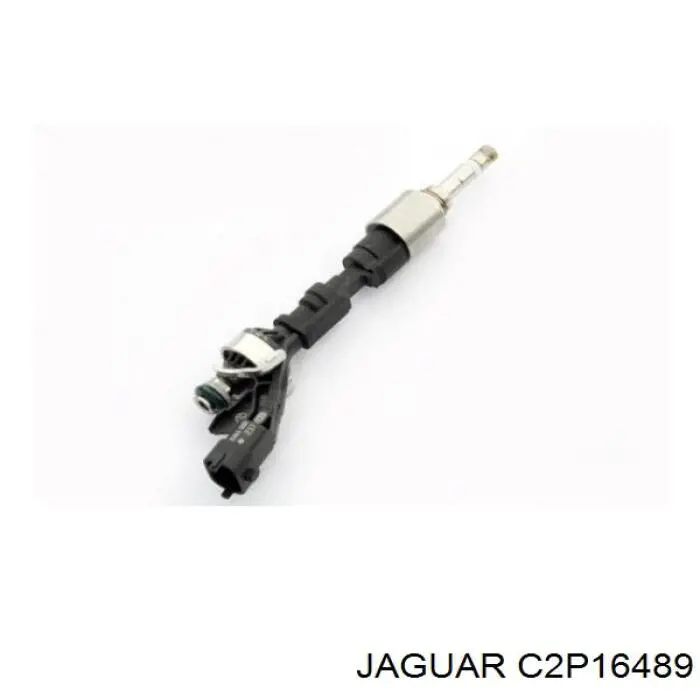 C2P16489 Jaguar injetor de injeção de combustível