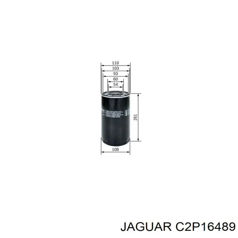 Топливные форсунки 8W939F593AD Jaguar