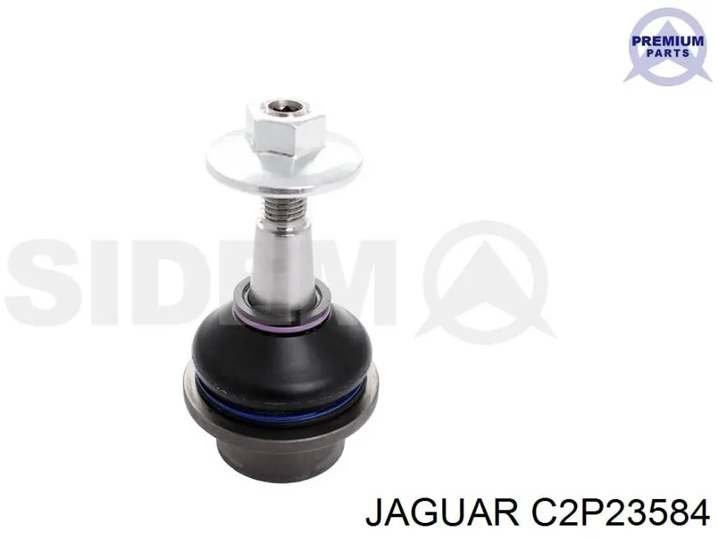  C2P23584 Jaguar