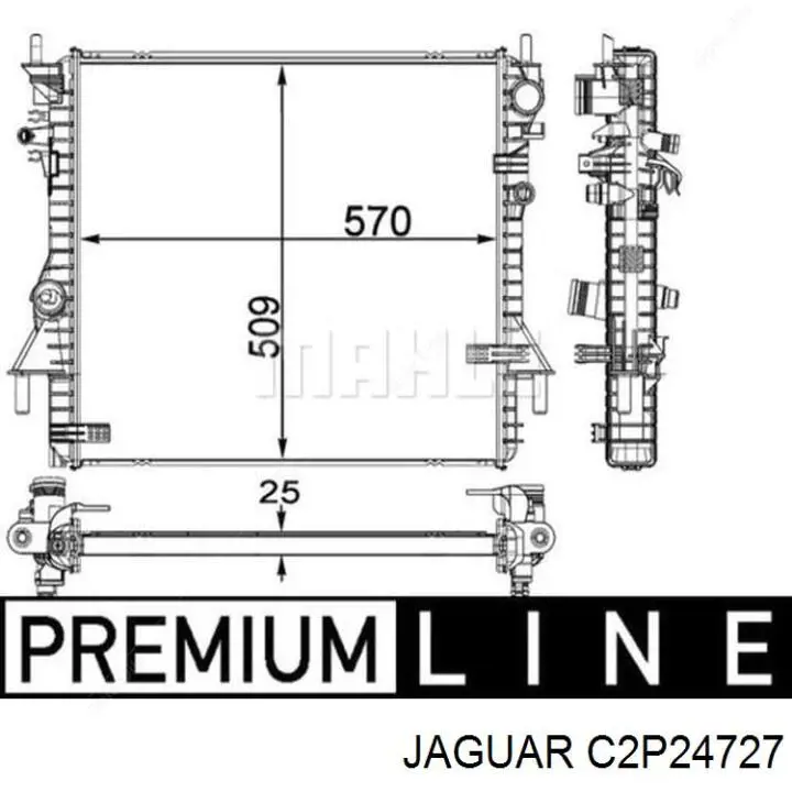  C2C39557 Jaguar