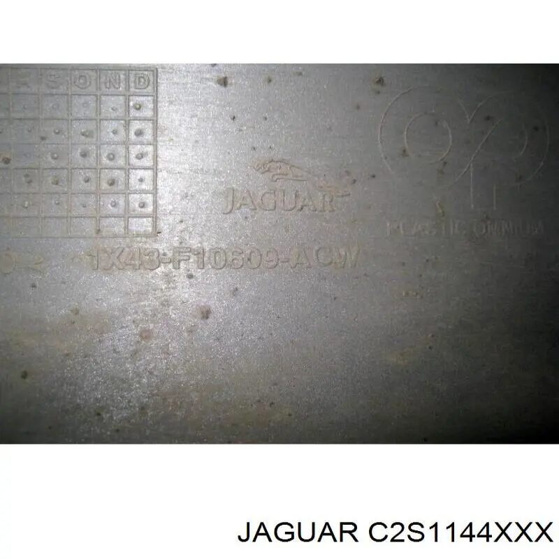  Jaguar C2S1144XXX цена, от 46.88 USD