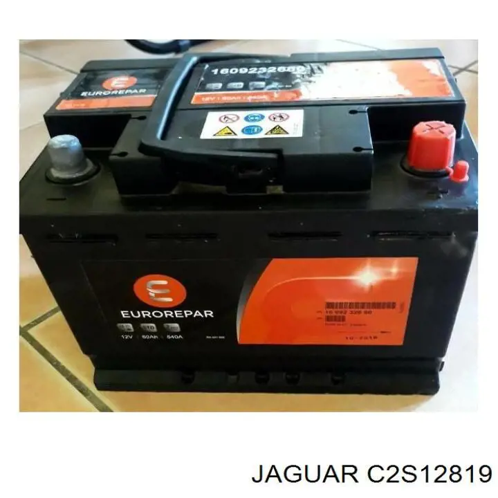  C2S44735 Jaguar