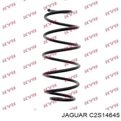 C2S14645 Jaguar Mola dianteira