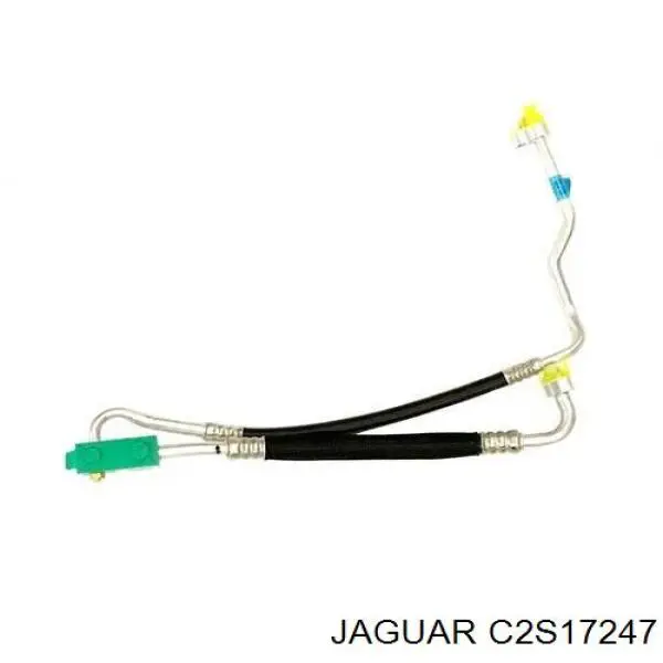 C2S17247 Jaguar 