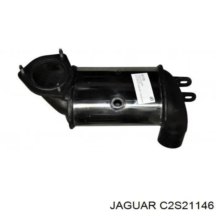  C2S21146 Jaguar