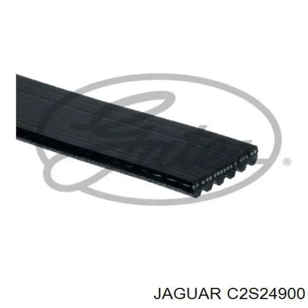 Клиновый ремень Jaguar C2S24900 цена, от 23.62 USD