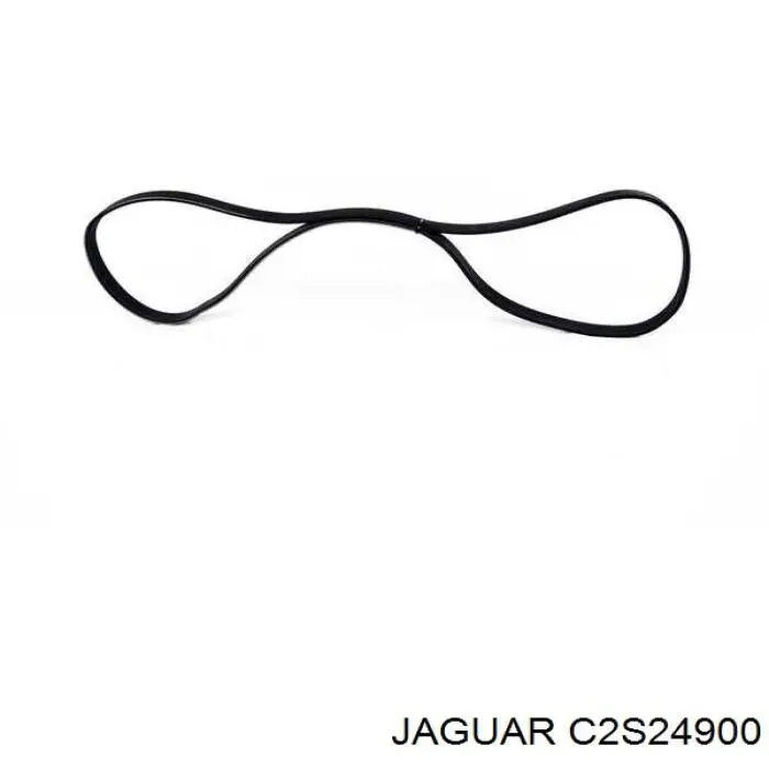 Купить C2S24900 Jaguar Ремень генератора