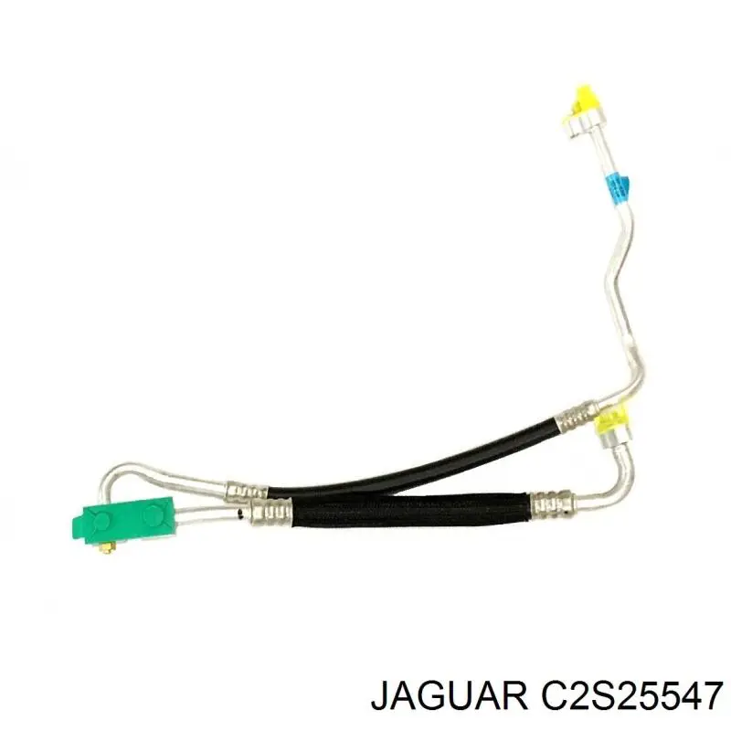  C2S25547 Jaguar