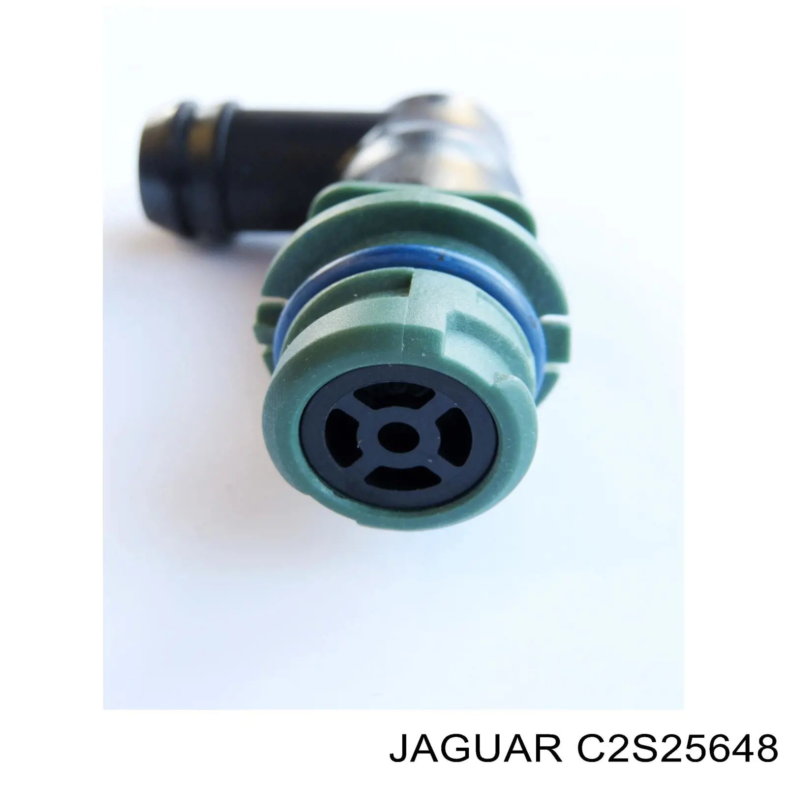 C2S25648 Jaguar 