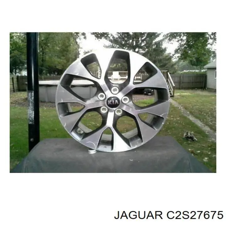  C2S27675 Jaguar