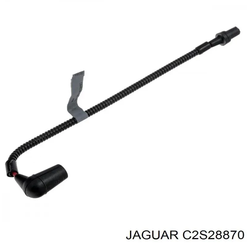 C2S28870 Jaguar 