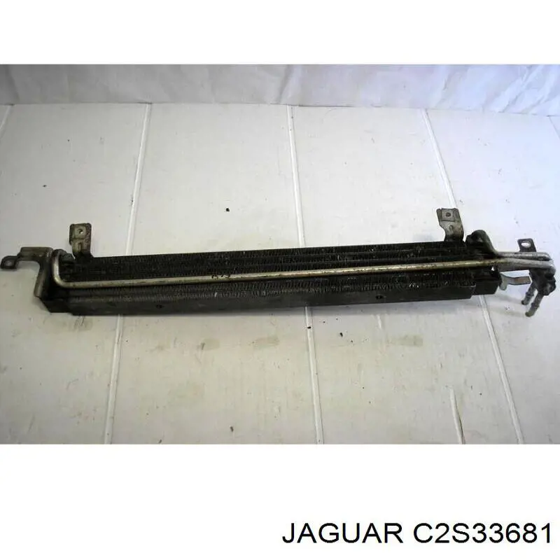  C2S33681 Jaguar