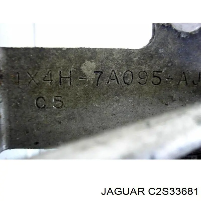 C2S33681 Jaguar 