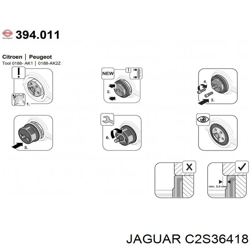  C2S52523 Jaguar