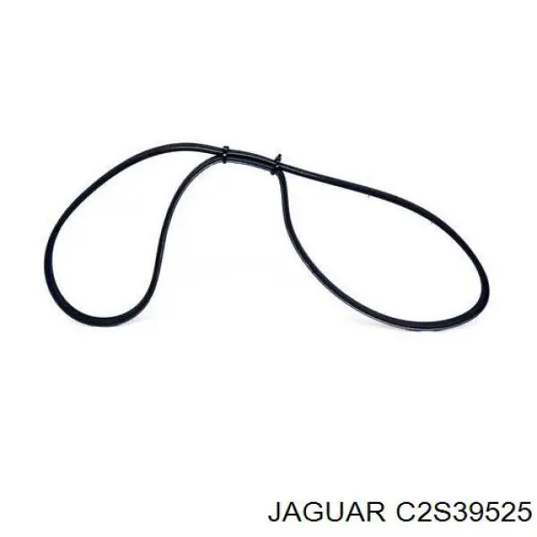 Ремень генератора C2S39525 Jaguar