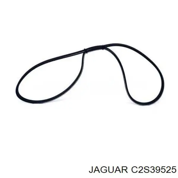Клиновый ремень Jaguar C2S39525 цена, от 6.90 USD