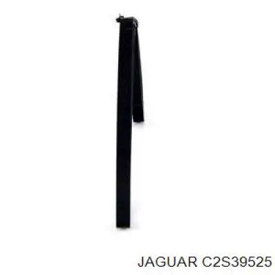 Купить C2S39525 Jaguar Ремень генератора