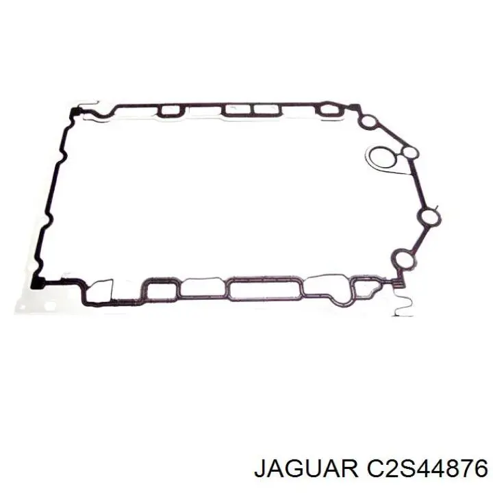  C2S44876 Jaguar