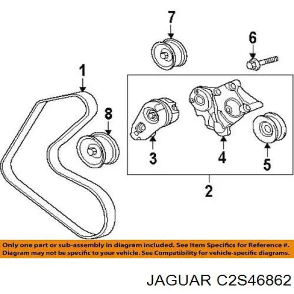  C2D21157 Jaguar