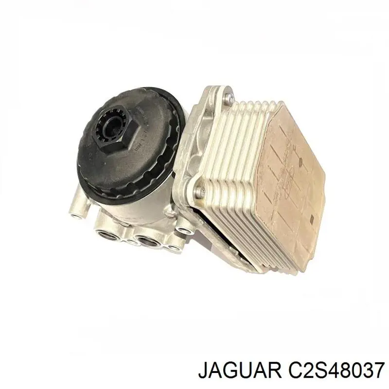 C2S48037 Jaguar 