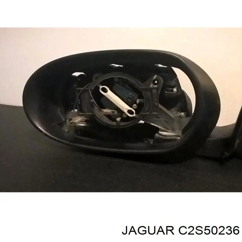 C2S11781 Jaguar 