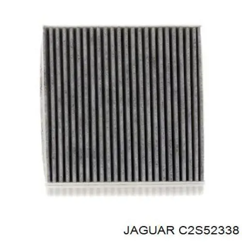 C2S52338 Jaguar filtro de salão