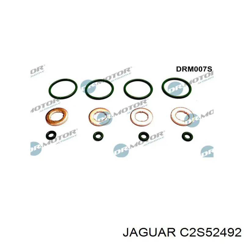  C2S52492 Jaguar