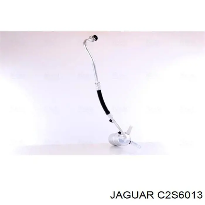 C2S6013 Jaguar 